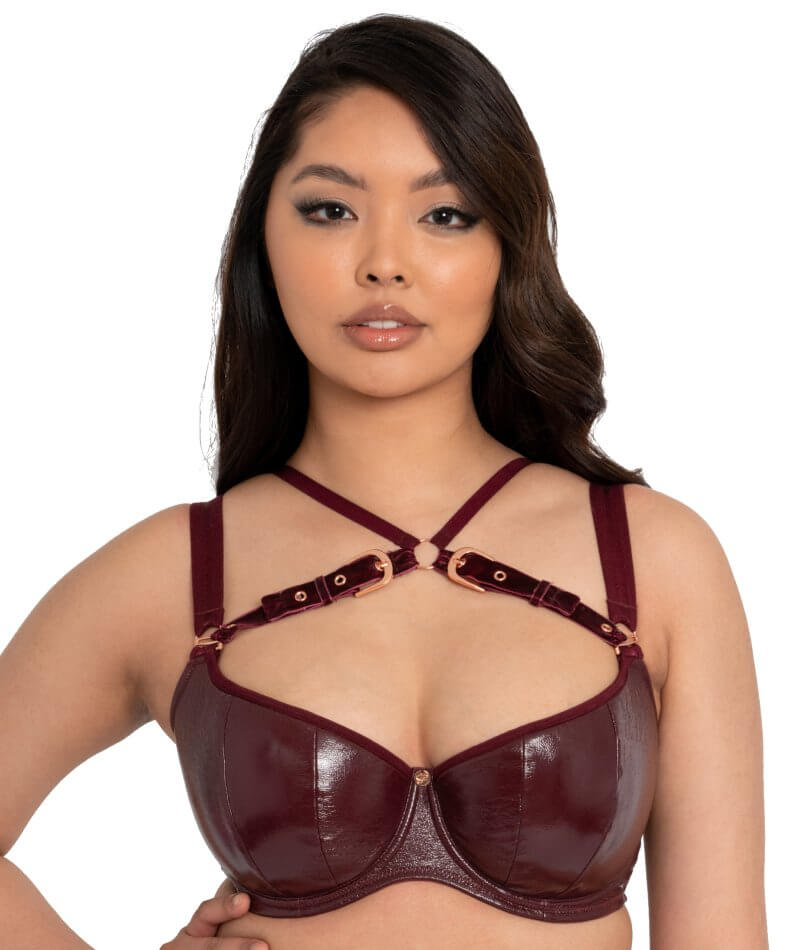 Scantilly Buckle Up Padded Half Cup Bra - Oxblood Bras 