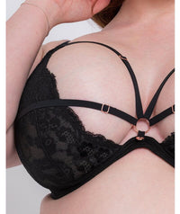 Scantilly Embrace Deep Plunge Bra - Black Bras 