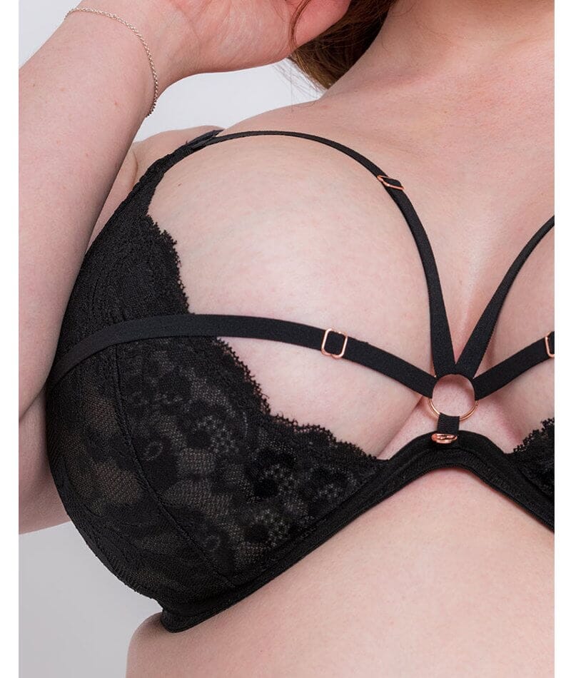 https://www.curvy.com.au/cdn/shop/products/scantilly-embrace-deep-plunge-bra-black-5_2048x.jpg?v=1685381668