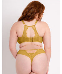 Scantilly Exposed High Waist Thong - Ochre Yellow Knickers 