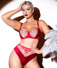 Scantilly Fallen Angel High Waist Brief - Garnet Red Knickers 