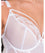 Scantilly Fascinate Plunge Basque - White Bodysuits & Basques 