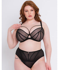 Scantilly Senses Plunge Bra - Black Bras 