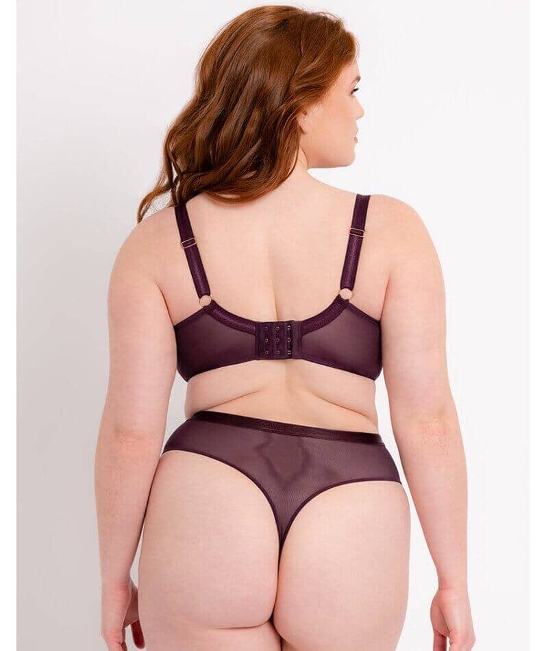 https://www.curvy.com.au/cdn/shop/products/scantilly-tantric-lovers-knot-balcony-bra-fig-latte-beige-4_3d3d592e-c40e-4ffe-b042-e20ee0d7593a_2048x.jpg?v=1676642499