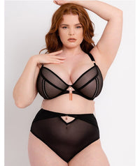 Scantilly Unchained High Waist Brief - Black Knickers 