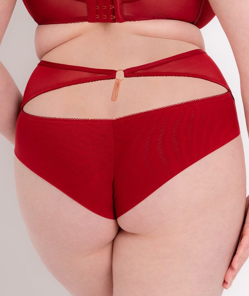 Scantilly Unchained High Waist Brief - Deep Red Knickers 