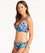 Sea Level Cabana Roll Band Bikini Brief - Royal Swim 