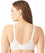 Wacoal Basic Beauty Full Figure Underwired Bra - Ivory Bras 