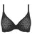 Wacoal Halo Lace Moulded Underwire Bra - Black Bras 